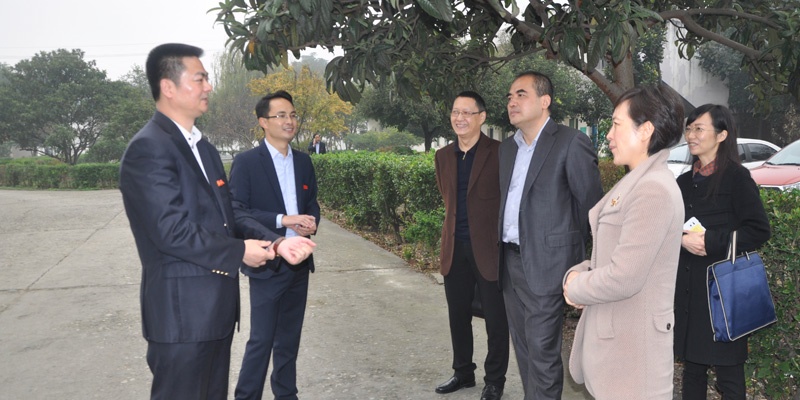 14902595522538259q1o.jpg 62.jpg